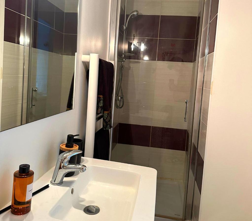 Apartament L'Oasis Cosy Villeurbanne Zewnętrze zdjęcie