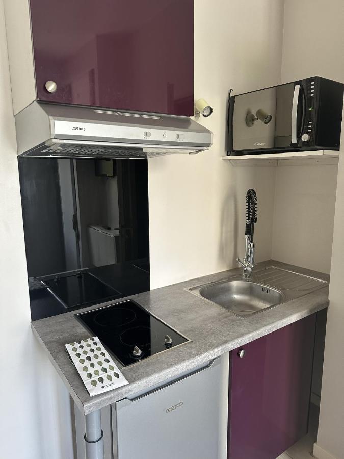 Apartament L'Oasis Cosy Villeurbanne Zewnętrze zdjęcie