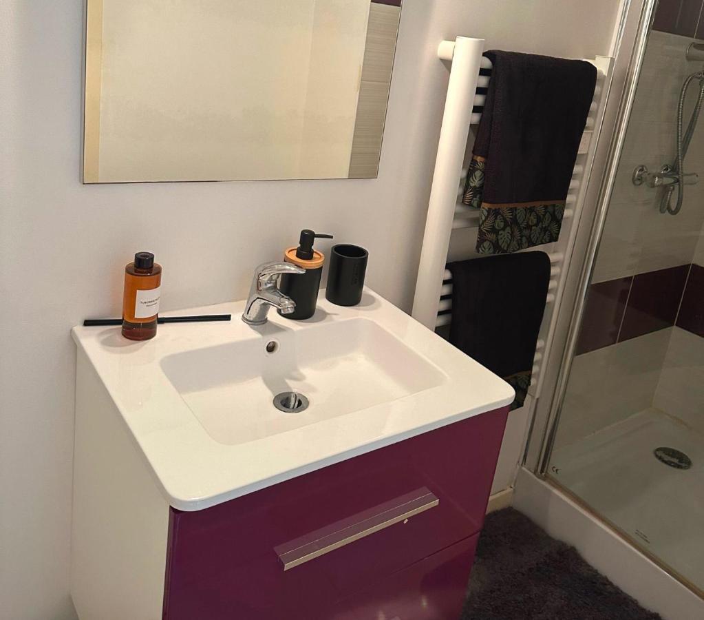 Apartament L'Oasis Cosy Villeurbanne Zewnętrze zdjęcie