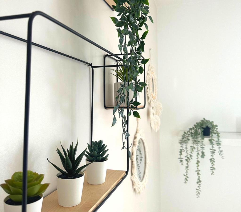 Apartament L'Oasis Cosy Villeurbanne Zewnętrze zdjęcie