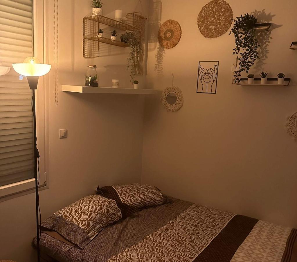 Apartament L'Oasis Cosy Villeurbanne Zewnętrze zdjęcie
